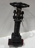 3/4" Class 800 Forged Carbon Steel Gate Valve — Extended Bonnet Socket Weld